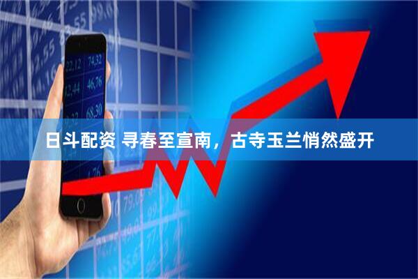 日斗配资 寻春至宣南，古寺玉兰悄然盛开