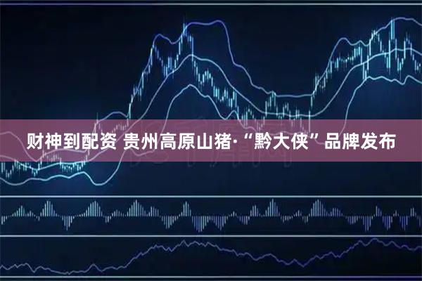 财神到配资 贵州高原山猪·“黔大侠”品牌发布