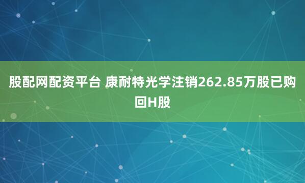 股配网配资平台 康耐特光学注销262.85万股已购回H股